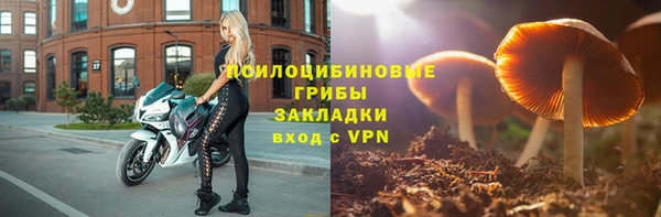 трава Верхнеуральск
